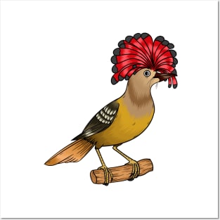 Royal flycatcher bird cartoon illustration Posters and Art